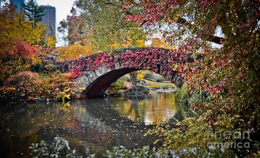 Bridge in the Fall Photograph by Stacey Granger