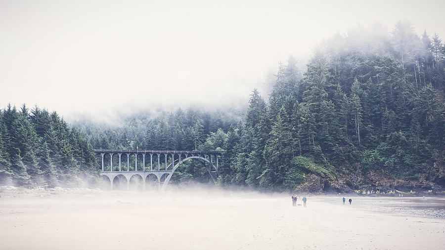 Bridge In the Mist  Photograph by Carrie Cole