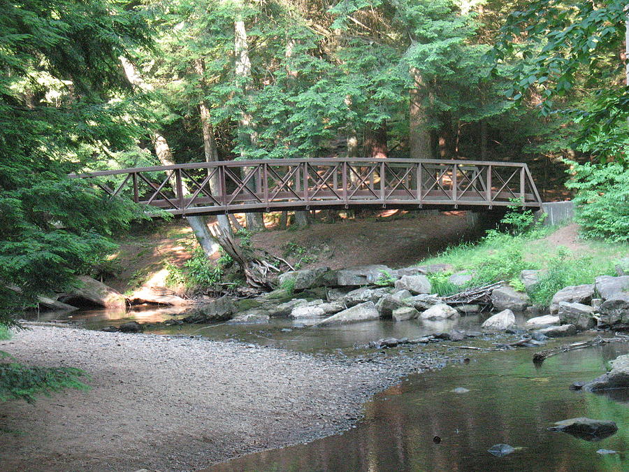 Bridge in the Woods Photograph by Wendy Gertz