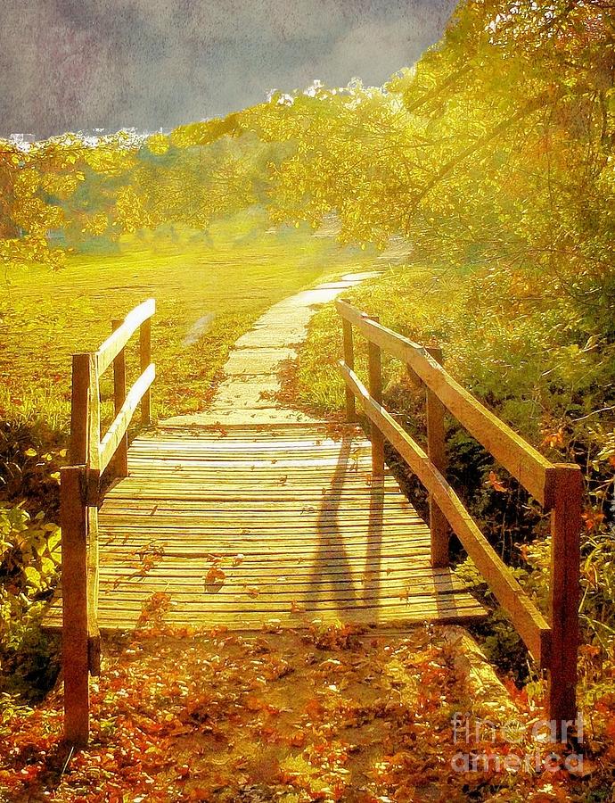 Bridge Into Autumn Photograph by Janette Boyd