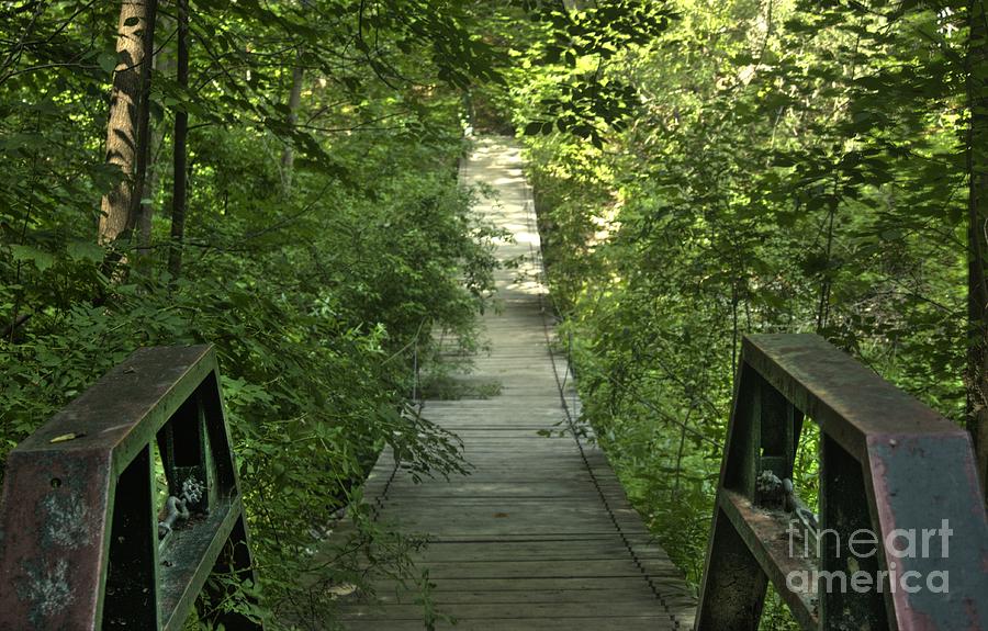 Bridge into the woods Photograph by Jim Lepard