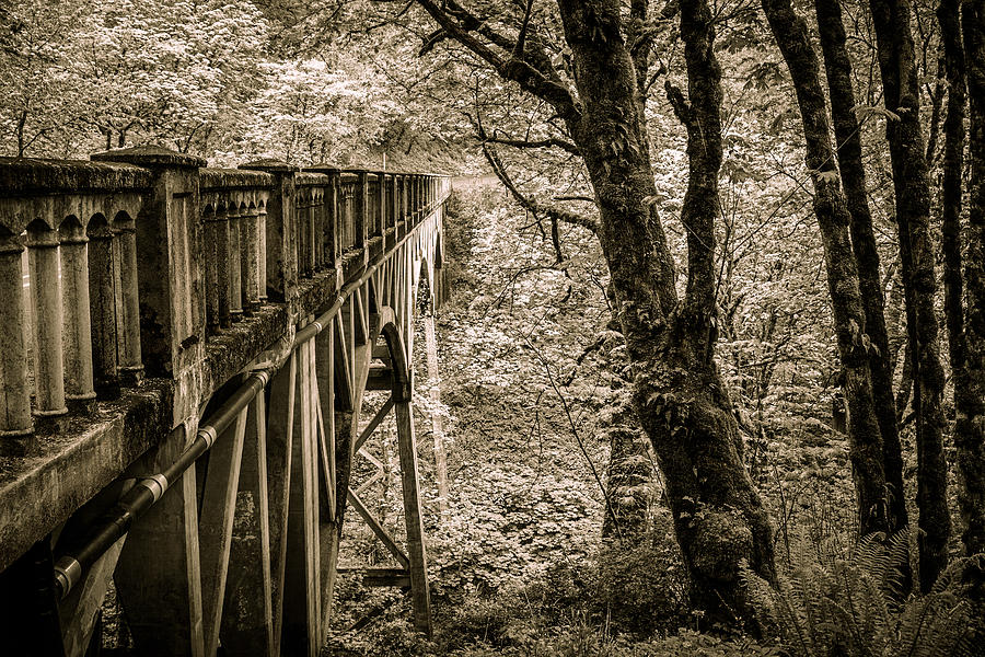 Bridge Into Your Dreams Photograph by Wes and Dotty Weber