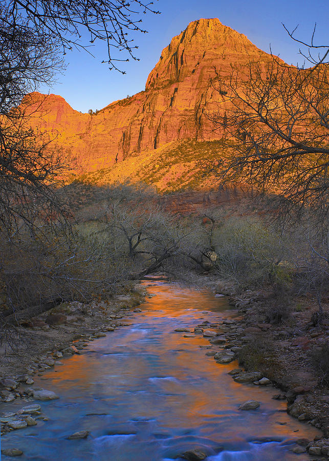 Bridge Mt And The Virgin River Zion Np Photograph by Tim Fitzharris