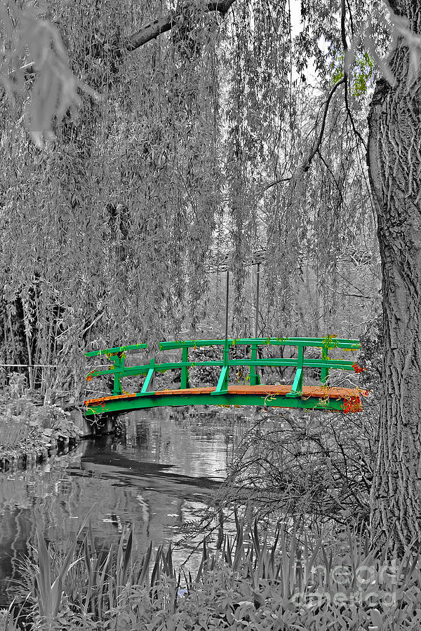 Bridge of Monet Photograph by Elvis Vaughn