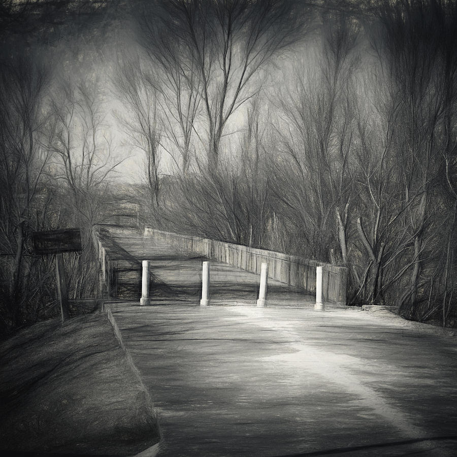 Bridge of No Return Photograph by Joan Carroll