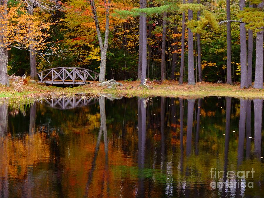 Bridge on Pond in Autumn at Pinelands Farm Photograph by Christine ...