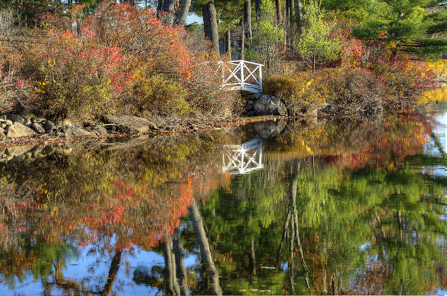 Bridge Over Fall Waters Photograph by Donna Doherty