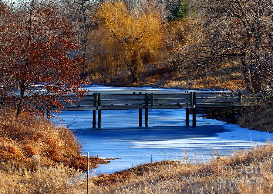 Bridge over Icy Waters Photograph by Elizabeth Winter