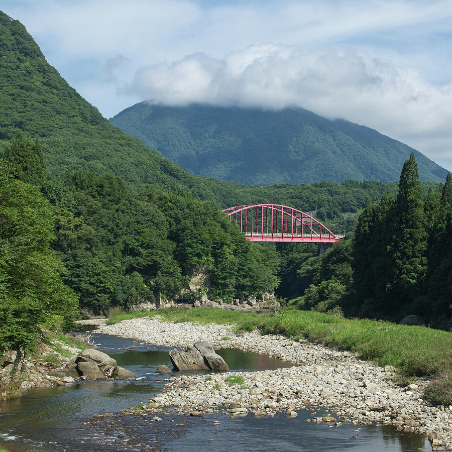 Bridge Over Lush River Gorge In Photograph by Ippei Naoi