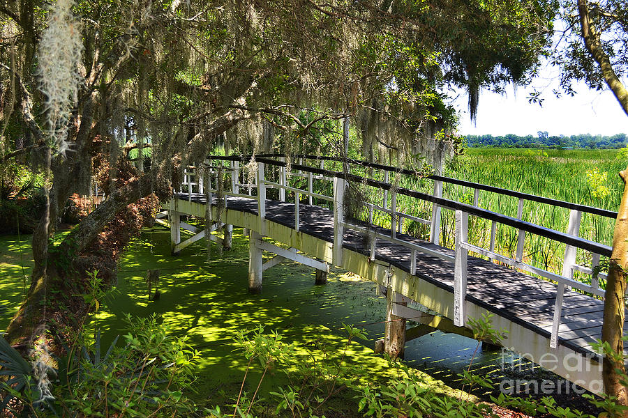 Bridge Over Mossy Water Photograph by Amy Lucid