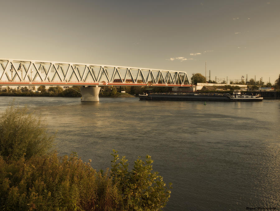 Bridge over Rhein River Photograph by Miguel Winterpacht