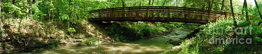 Bridge Over Stream Water 1 Photograph by Paddy Shaffer