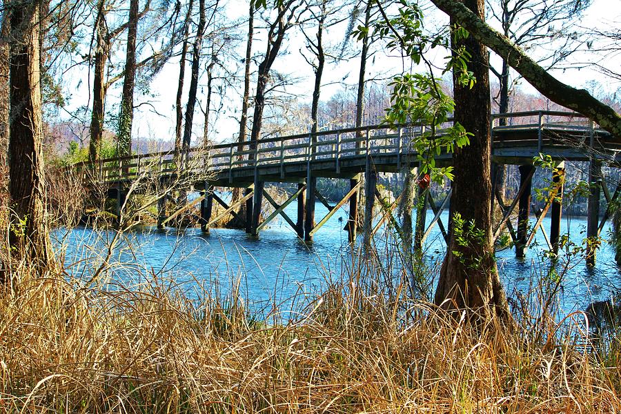 Bridge Over The Lake Photograph by Cynthia Guinn