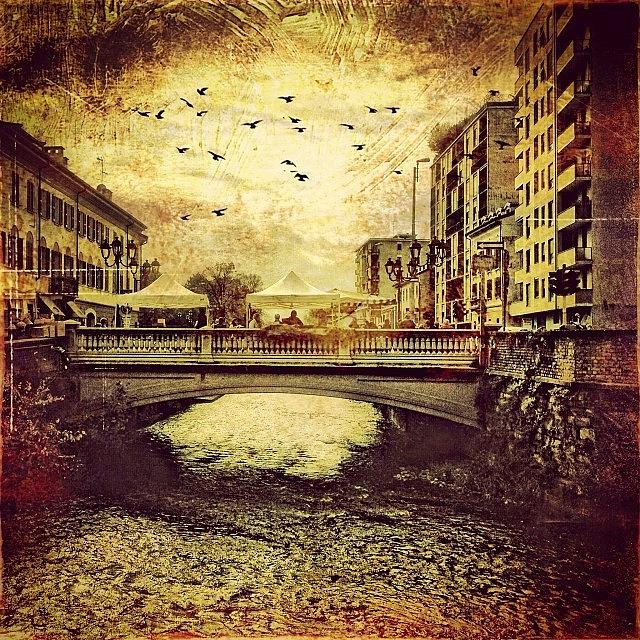 Bird Photograph - Bridge Over The Lambro #instagram by Roberto Pagani