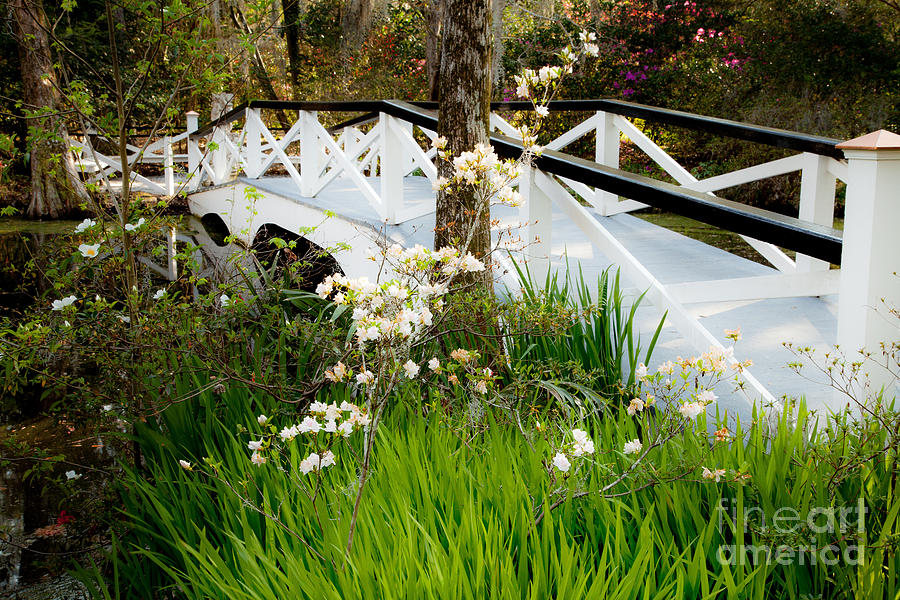 Bridge over the Pond Photograph by Iris Greenwell