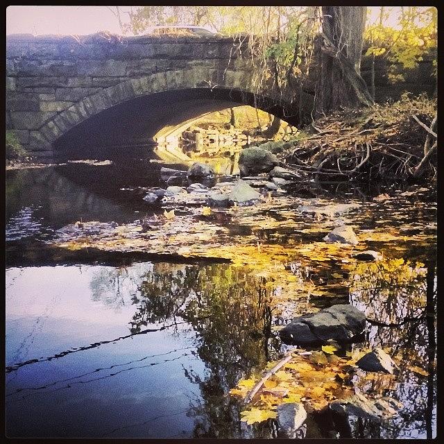 Bridge Over Water Photograph By Matthew Walden - Fine Art America