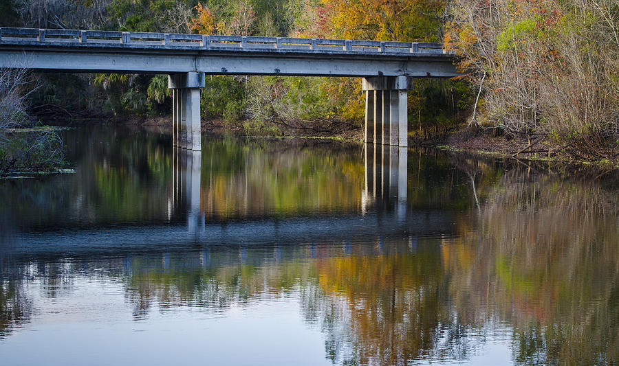 Bridge Over Wilderness Park Photograph by Carolyn Marshall