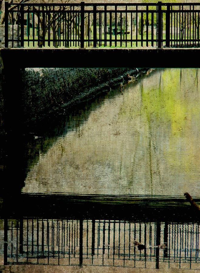 Bridge Reflection Photograph by Anne McDonald