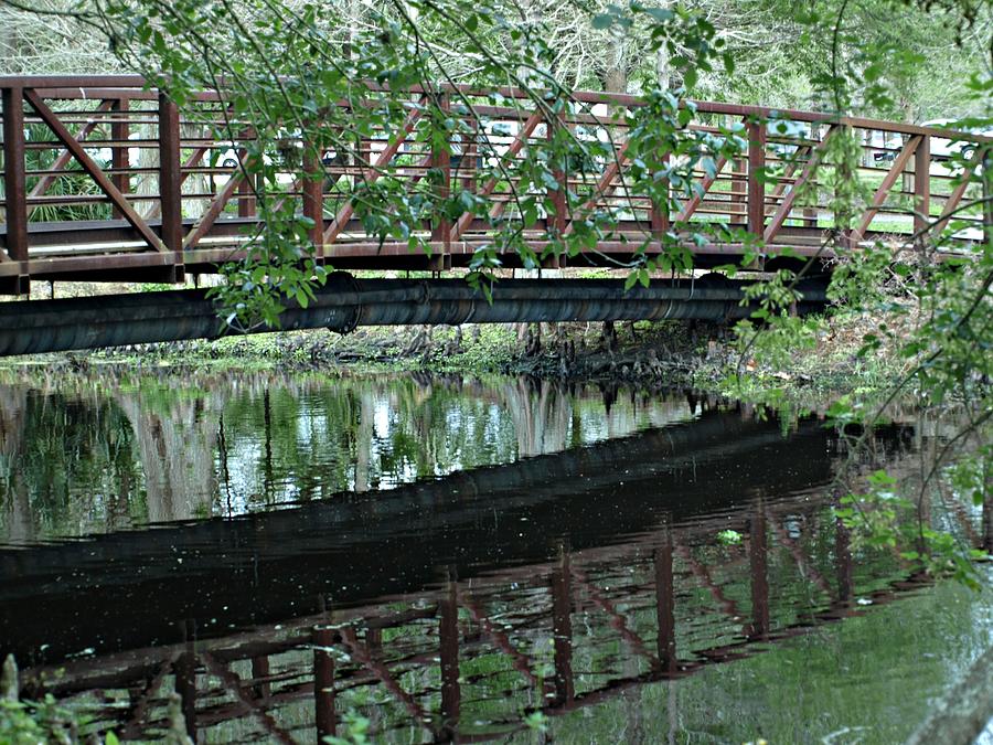 Bridge Photograph - Bridge Reflection by Jo Jurkiewicz