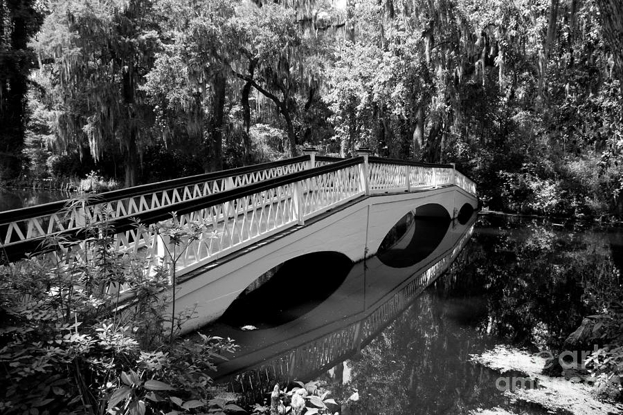Tree Photograph - Bridge Reflection - Magnolia Plantation by Christiane Schulze Art And Photography