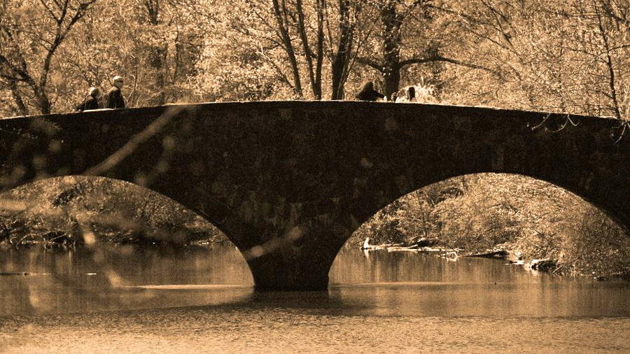 Bridge Photograph by Roseann Errigo