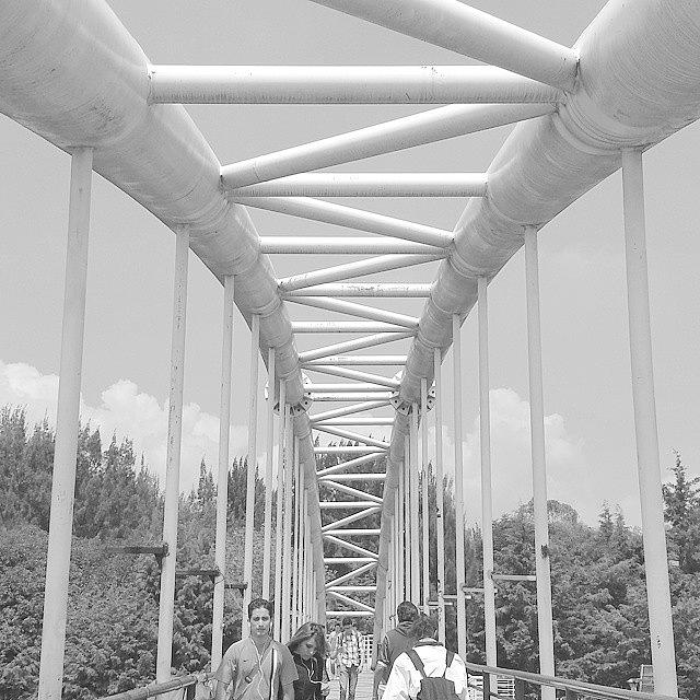 Monochromatic Photograph - Bridge by Spencer Mx