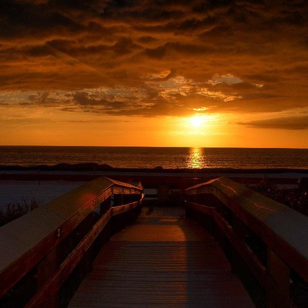 Sunset Photograph - Bridge Sunset by Alexa V