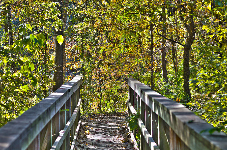 Bridge Photograph by Tim Newland - Fine Art America