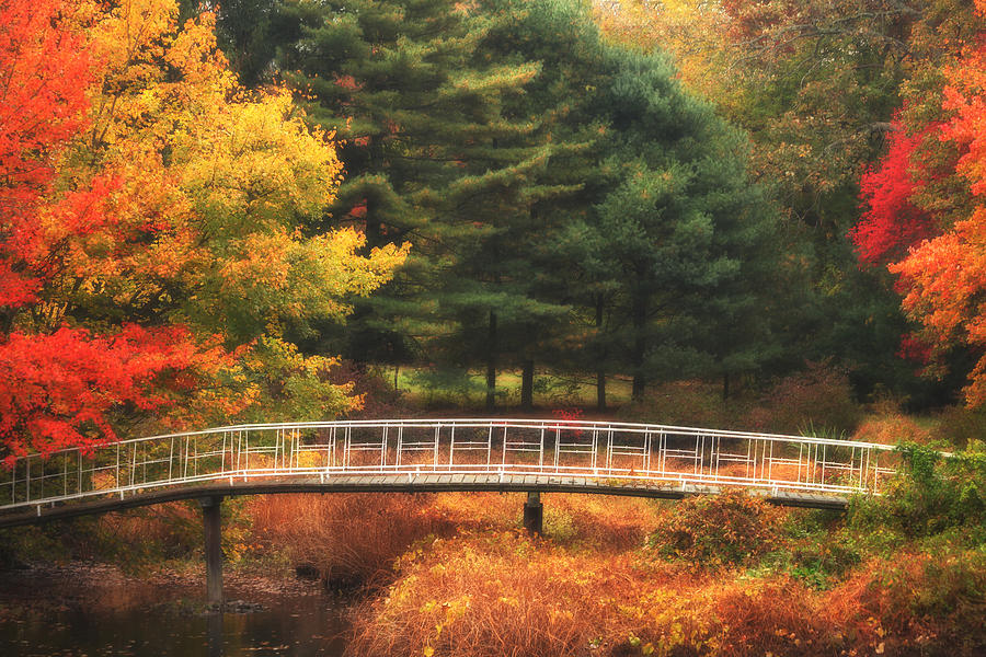 Bridge to Autumn Photograph by Karol Livote