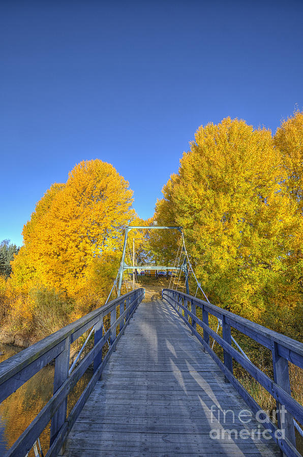 Fall Photograph - Bridge to autumn by Veikko Suikkanen