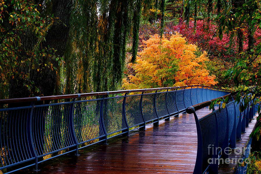 Fall Photograph - Bridge to Evening Island by Nancy Mueller