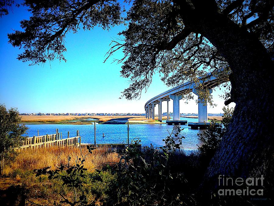 Bridge to Sunset Beach Photograph by Shelia Kempf