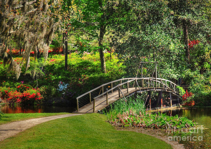 Bridge To The Azalea Gardens Photograph by Kathy Baccari