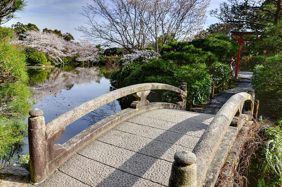 Bridge to the Japanese Garden Photograph by Matt Swinden