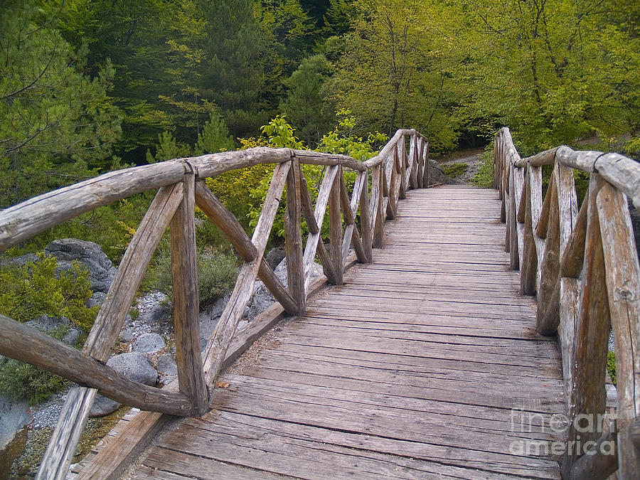 Bridge To The Wood Photograph By Art By Magdalene - Fine Art America