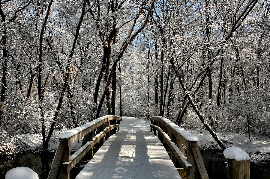 Bridge To Winter Wonderland Photograph by Roger Becker