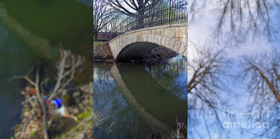 Tree Photograph - Bridge Triptych by Danielle Lebenson