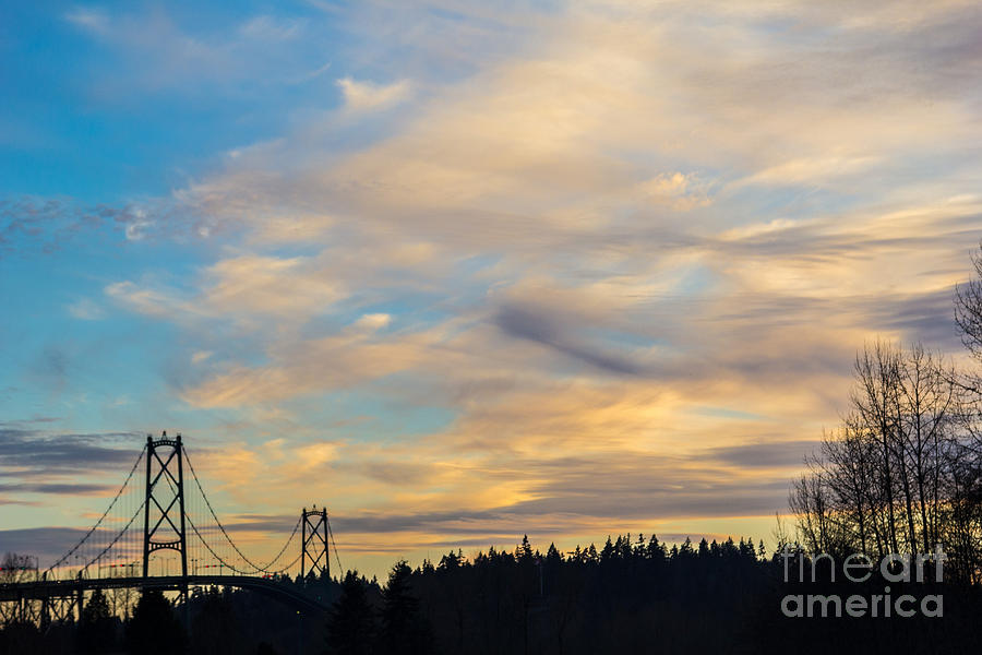 Vancouver Bridges Photograph by Alanna DPhoto