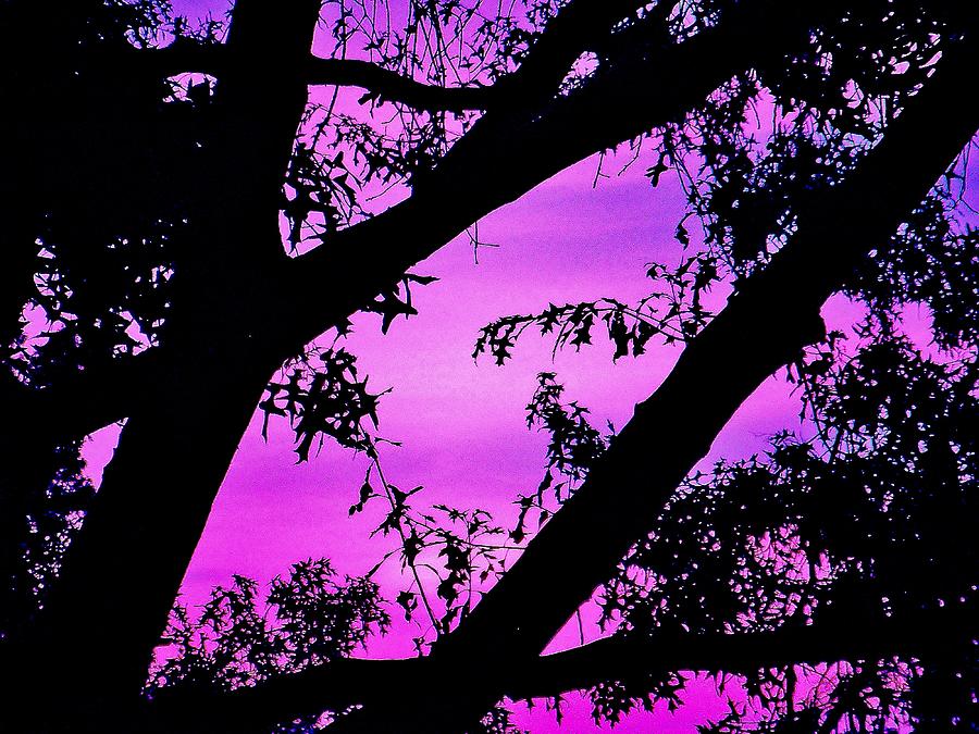 Bridgewater Sunset Photograph by Susan Carella