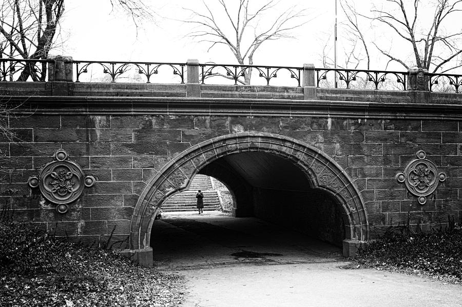Bridging The Park Photograph