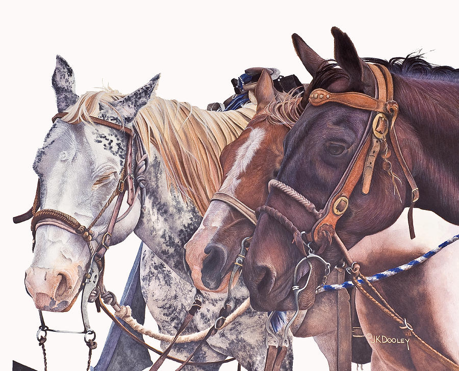 Horse Painting - Bridle Gossip by JK Dooley