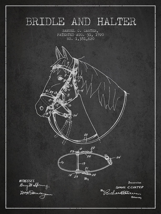 Horse Digital Art - Bridle Halter patent from 1920 - Charcoal by Aged Pixel