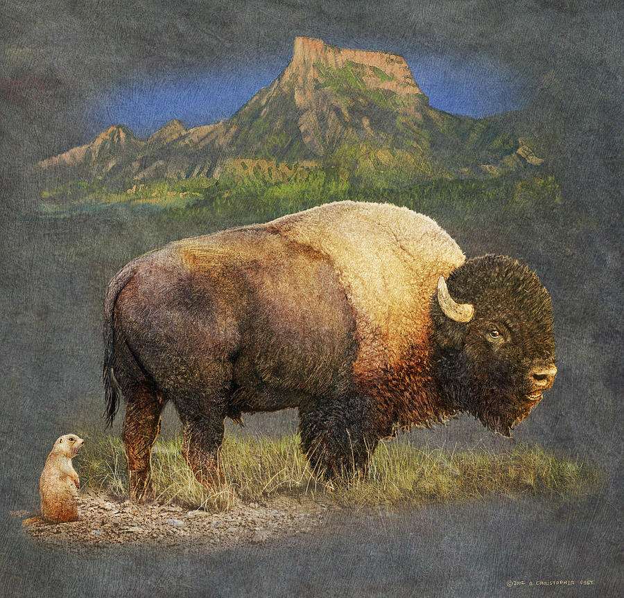 Bison Painting - Brief Altercation - Bison And Prairie Dog by R christopher Vest