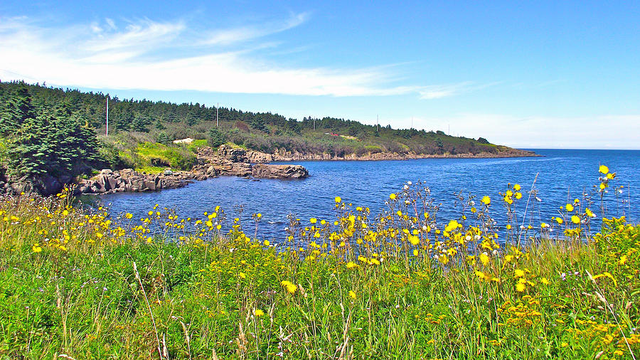 Brier Island in Digby Neck-, Nova Scotia, Canada Photograph by Ruth Hager