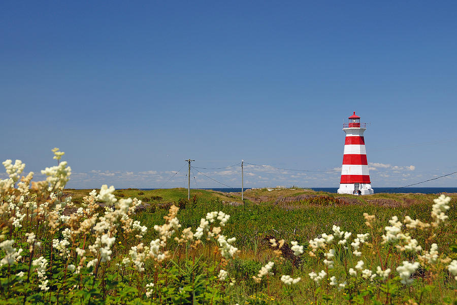 Brier Island Lighthouse Photograph by Georgia Clare