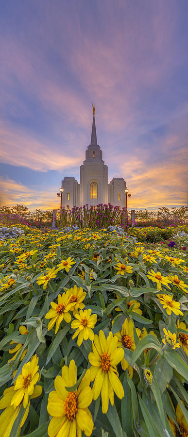 Brigham City Temple Vertical Panorama Photograph by Dustin LeFevre