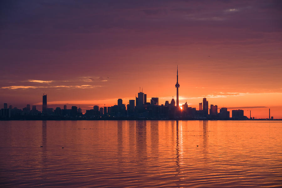Bright and Orange Toronto Sunrise Photograph by Georgia Mizuleva