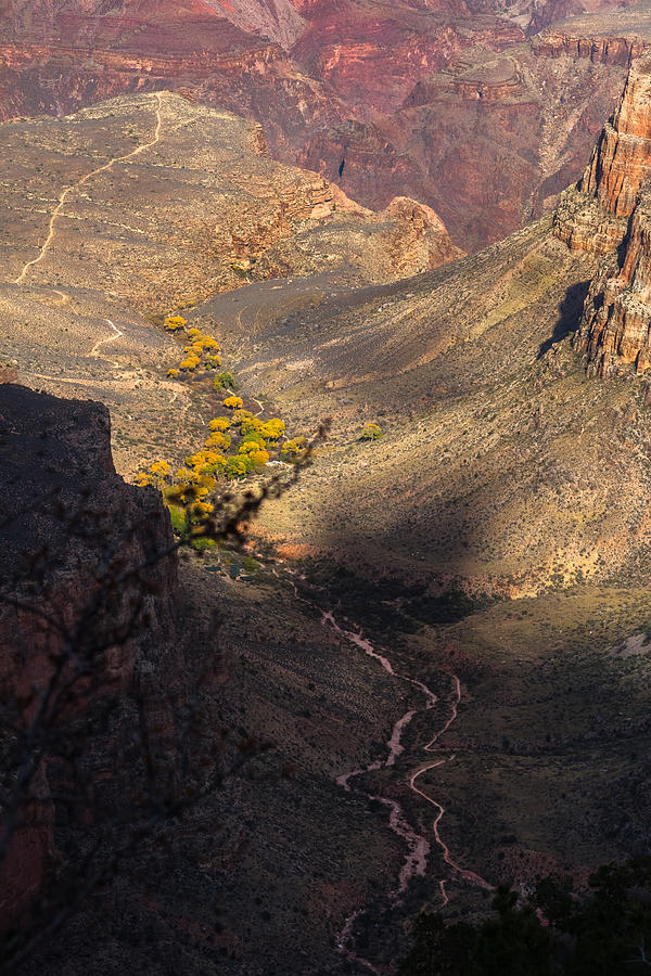 Bright Angel and Plateau Point Trails Photograph by Ed Gleichman