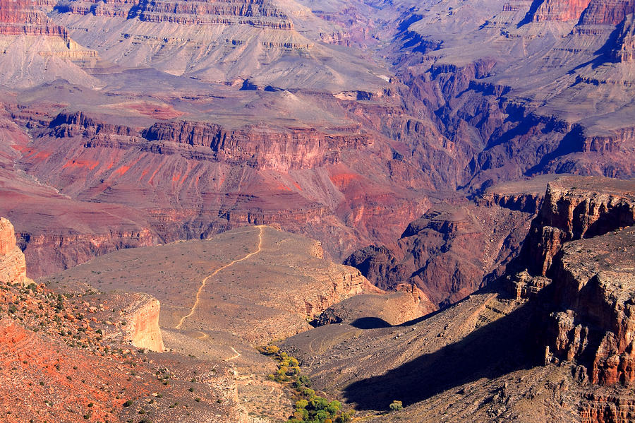 Bright Angel Trail Grand Canyon Arizona Photograph by Aidan Moran