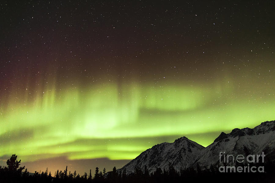 Bright Aurora Borealis, Annie Lake Photograph by Philip Hart